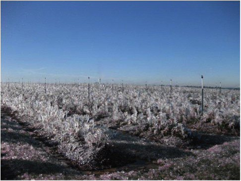 agriculture irrigation systems